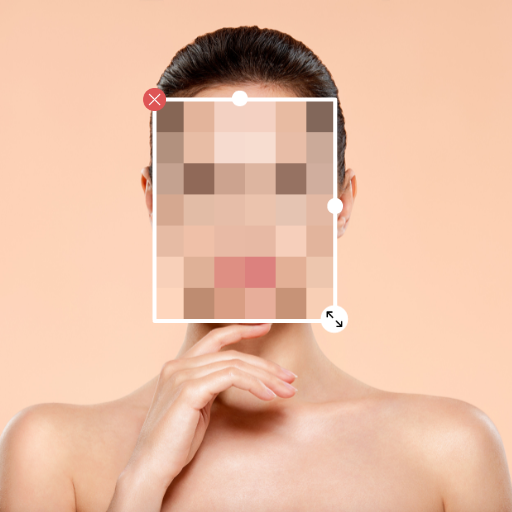 Blur or Pixelate Video Editor PC