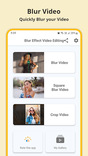 Blur or Pixelate Video Editor PC