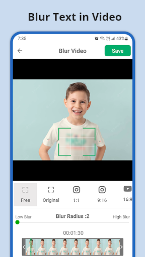 Blur or Pixelate Video Editor PC