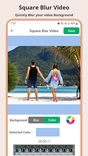 Blur or Pixelate Video Editor PC
