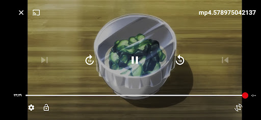 فايكنج بلاير الحاسوب