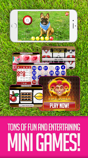 Boom Bingo: Live Bingo & Slots PC