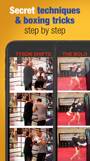 Learn boxing پی سی