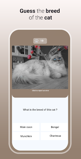 komputer Quiz Cat - Guess the Cat Breed