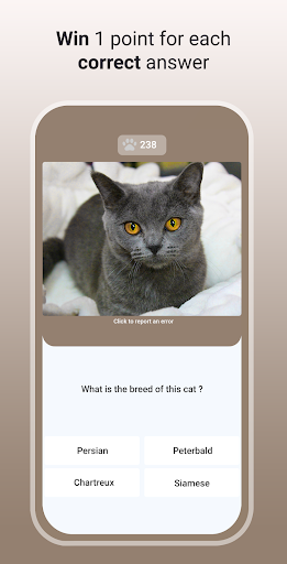 komputer Quiz Cat - Guess the Cat Breed