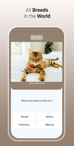 komputer Quiz Cat - Guess the Cat Breed