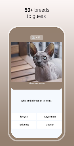 komputer Quiz Cat - Guess the Cat Breed