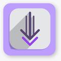 Video Downloader & Story Saver PC