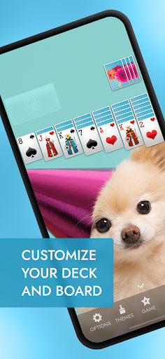 Spider Solitaire PC