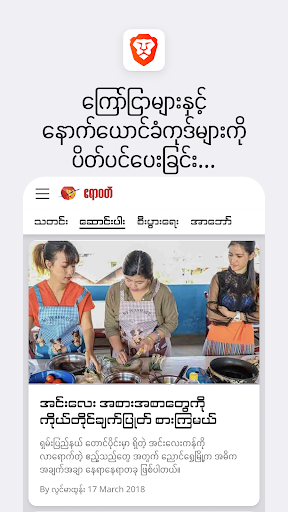 Brave Private Web Browser, VPN