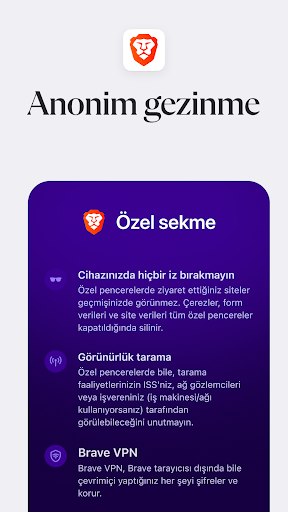 Brave Gizli Web Tarayıcısı PC