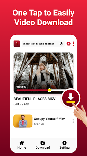 XXVI Video Browser Downloader PC