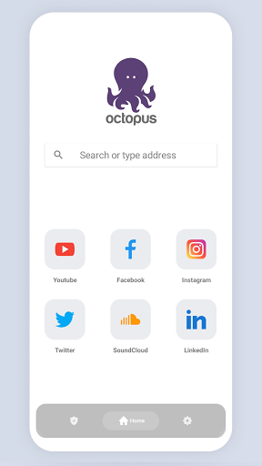 Octopus - Fast Proxy Browser‏ ПК