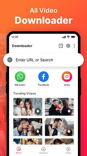 Video Downloader PC