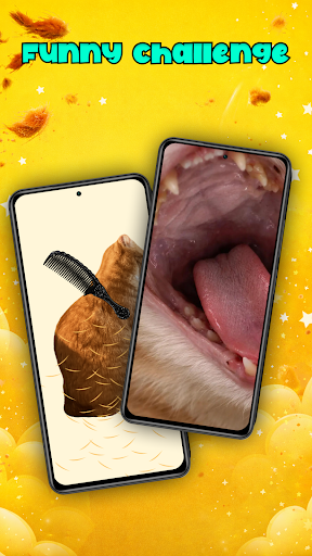 Brush Jjaemu Challenge PC