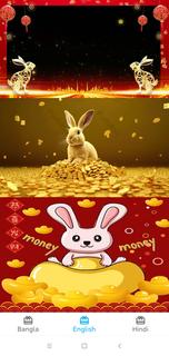 Lucky Golden Rabbit Birthday PC