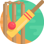 Card Cricket 19 ( Real Cricket PC