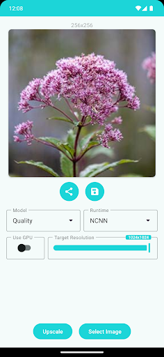 AI Image Upscaler পিসি