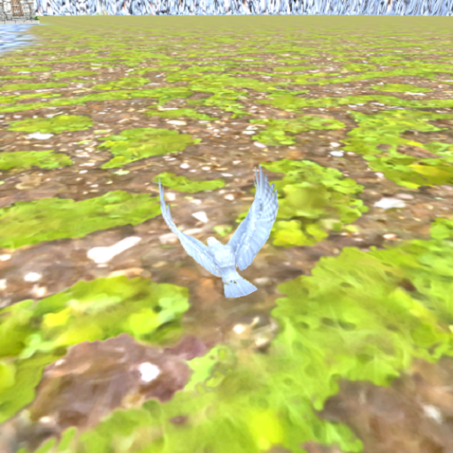 EagleFly3D