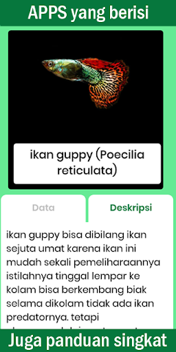 Buku Saku Ikan Hias پی سی