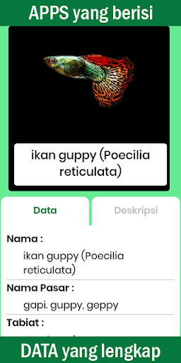 Buku Saku Ikan Hias پی سی