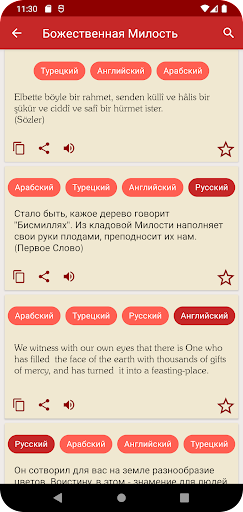 Рисале-и Нур (русский-турецко) ПК