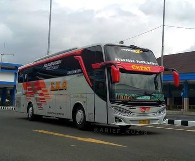 Bus Simulator Indonesia v4.1 PC