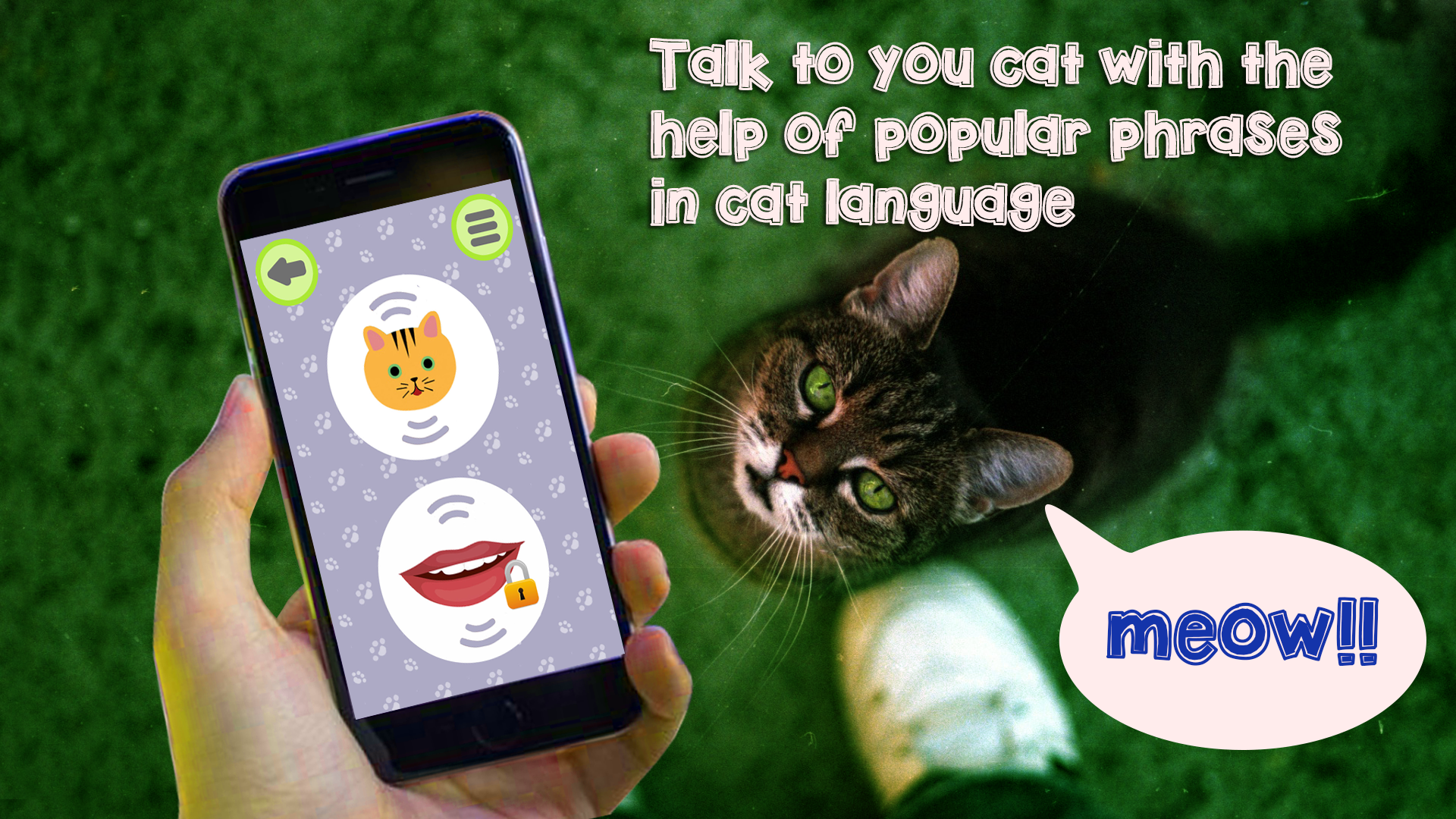 Ice Cat в телефоне. Cat language. Woof-Woof says the Dog, Meow-Meow says the Cat,. A Virtual Cat Lives within Echo. You can chat with Alexa in Cat's language.