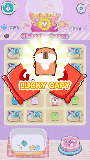 Lucky Blind Bag Capybara PC