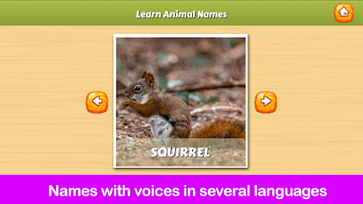 เรียนรู้ชื่อสัตว์ PC