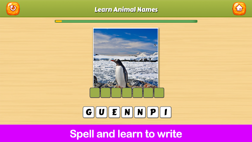 เรียนรู้ชื่อสัตว์ PC