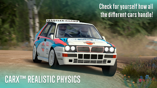 CarX Rally PC版