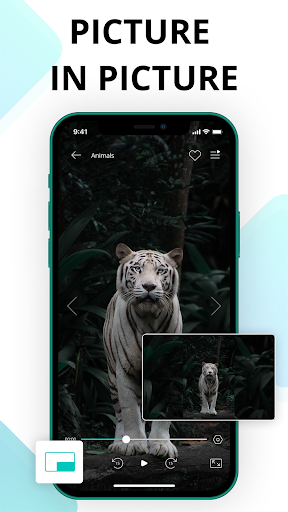 Smart IPTV Pro. TV Player M3U8 PC