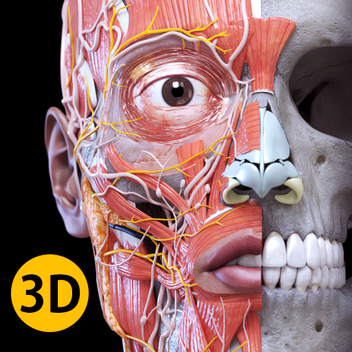 Anatomía - Atlas 3D PC