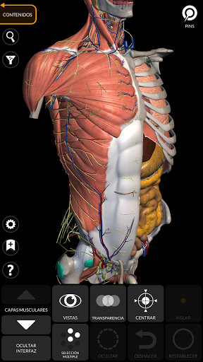 Anatomía - Atlas 3D PC