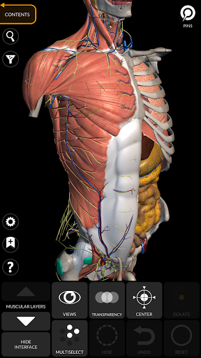 Anatomy 3D Atlas الحاسوب