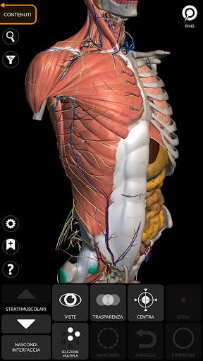 Anatomia - Atlante 3D PC