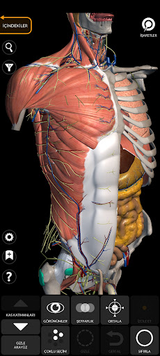 Anatomi 3D Atlası