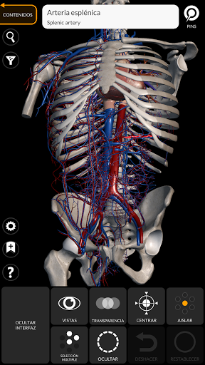 Anatomía - Atlas 3D PC