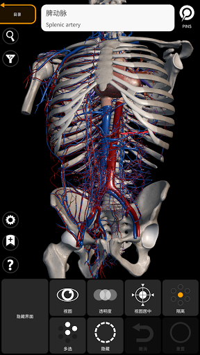 解剖学 - 三维图谱电脑版