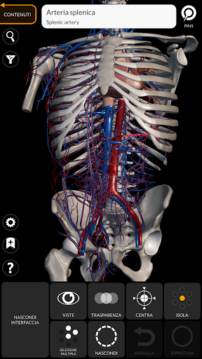 Anatomia - Atlante 3D PC