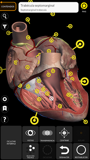 Anatomía - Atlas 3D PC