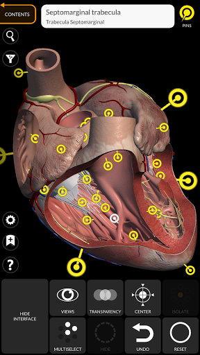 Anatomy 3D Atlas الحاسوب