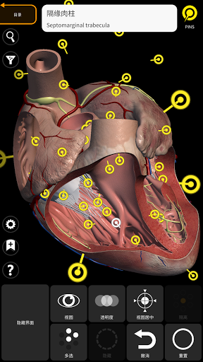 解剖学 - 三维图谱电脑版