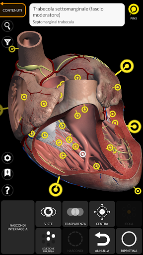 Anatomia - Atlante 3D PC