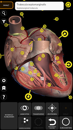 Anatomie - 3D Atlas PC