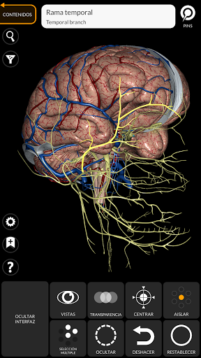 Anatomía - Atlas 3D PC