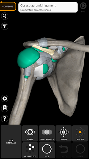 Anatomy 3D Atlas الحاسوب