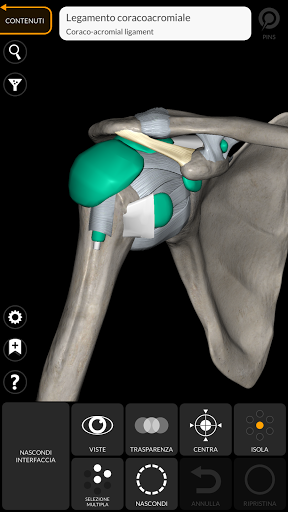 Anatomia - Atlante 3D PC