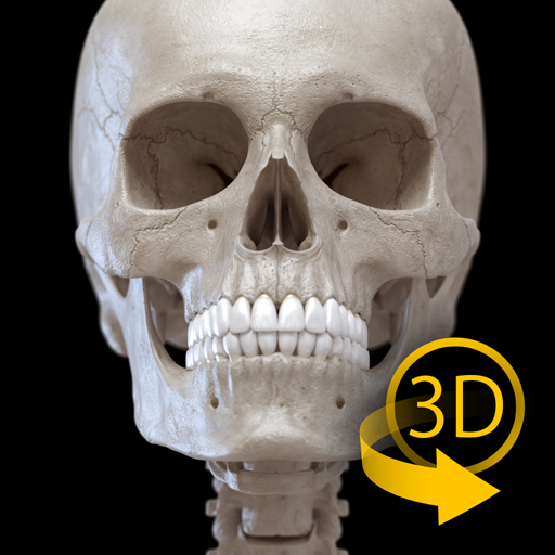 Skeleton | 3D Anatomy الحاسوب